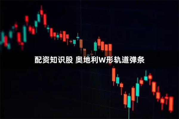 配资知识股 奥地利W形轨道弹条